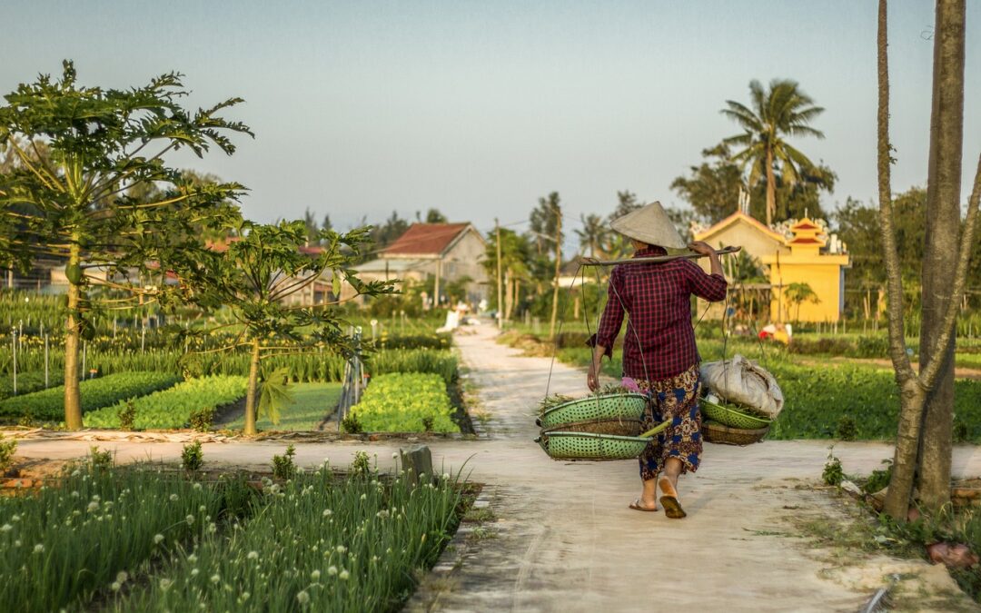 Tour (solo) Vietnam